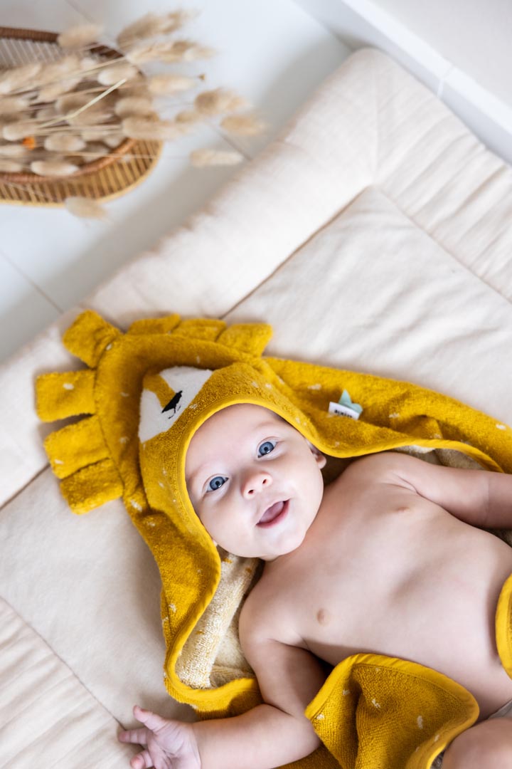 Trixie Hooded Towel - 75cm x 75cm - Mr Lion
