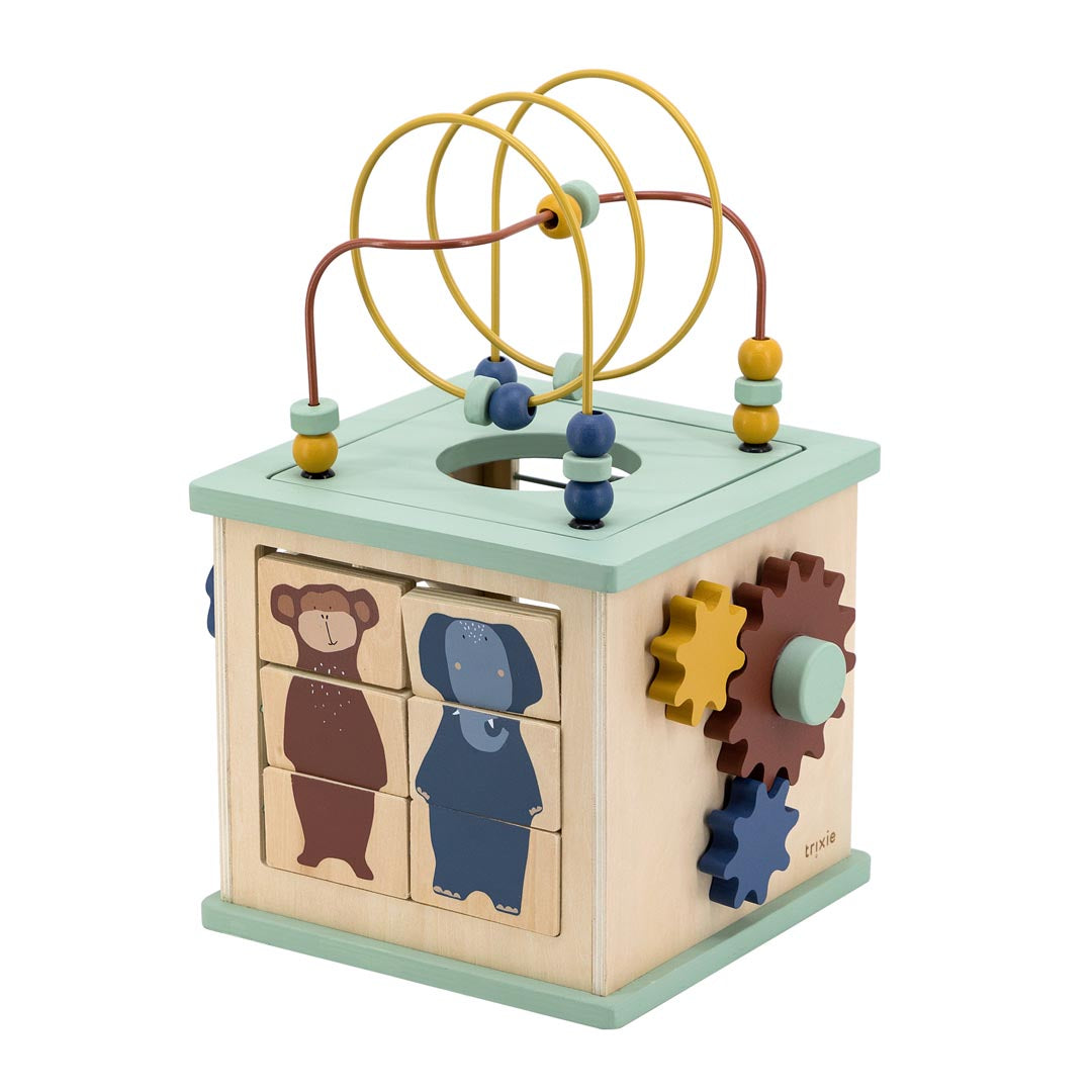 Trixie Wooden Activity Cube 5 in 1