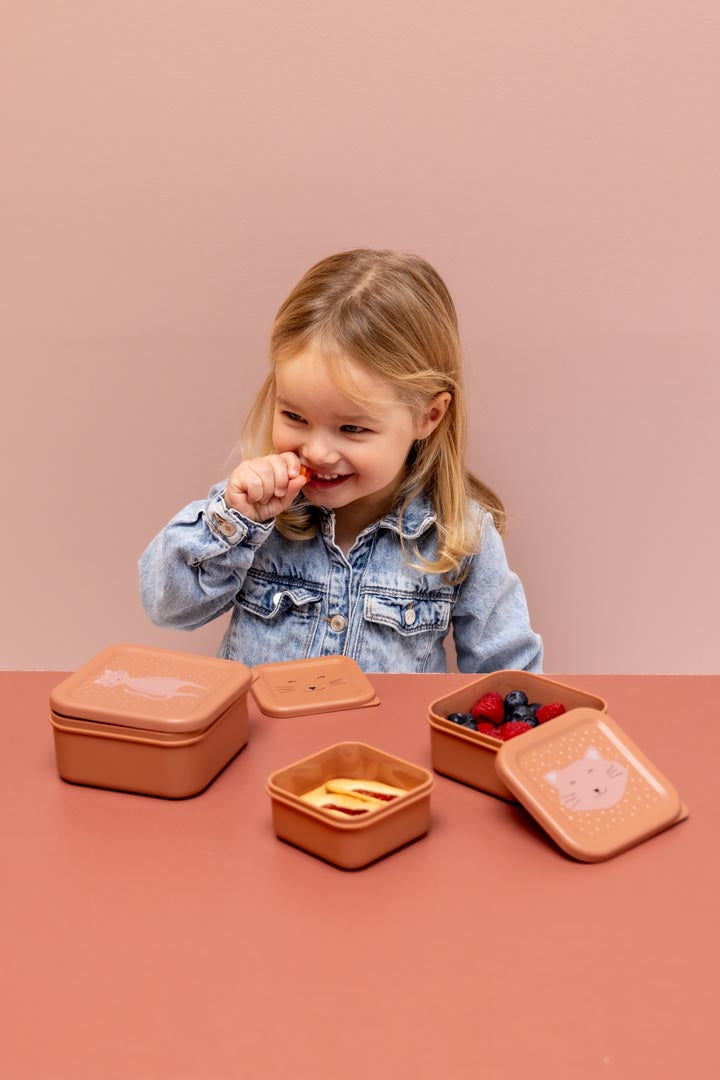 Trixie Nesting Snack Box 3 Pack - Mrs Cat
