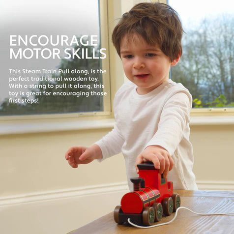 Orange Tree Toys Pull Along Steam Train