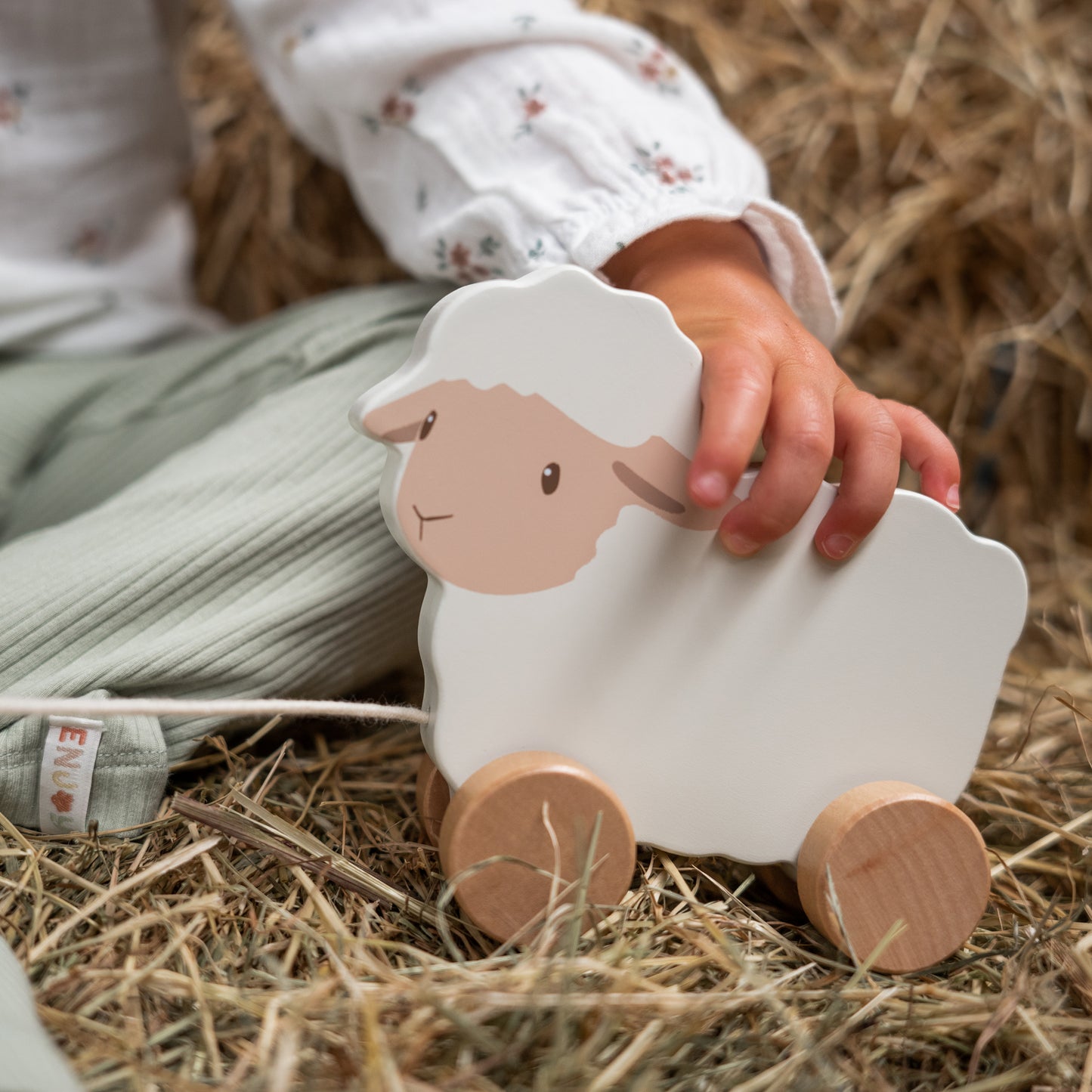 Little Dutch Pull Along Sheep