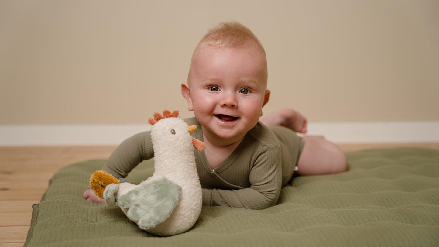 Little Dutch Tumbler Chicken - Little Farm
