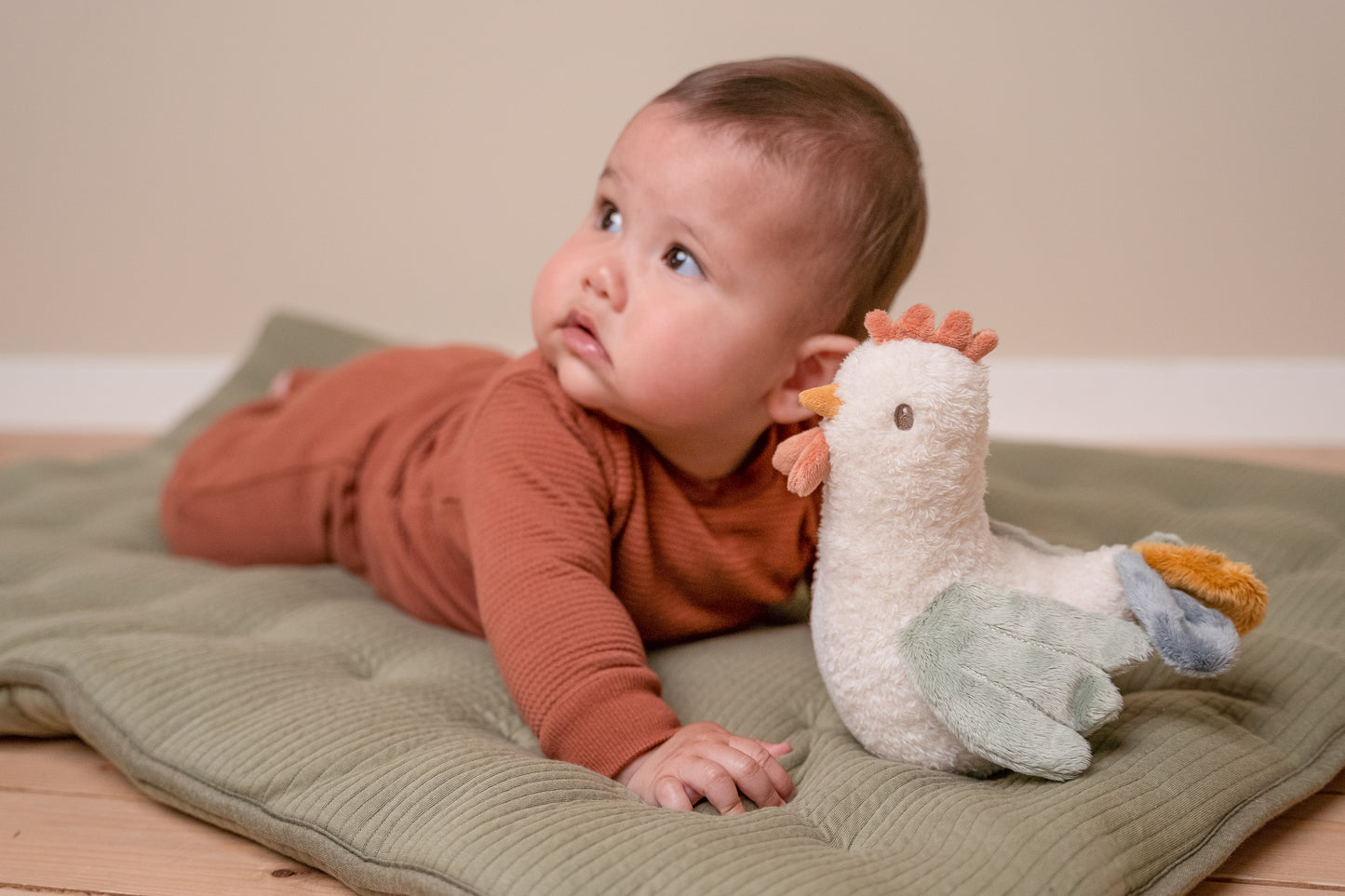 Little Dutch Tumbler Chicken - Little Farm