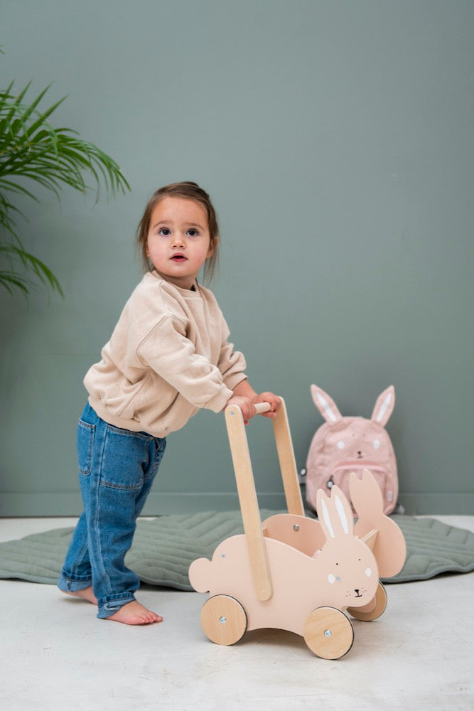 Trixie Wooden Push Along Cart - Mrs Rabbit