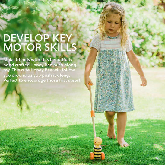 Orange Tree Toys Push Along Honey Bee