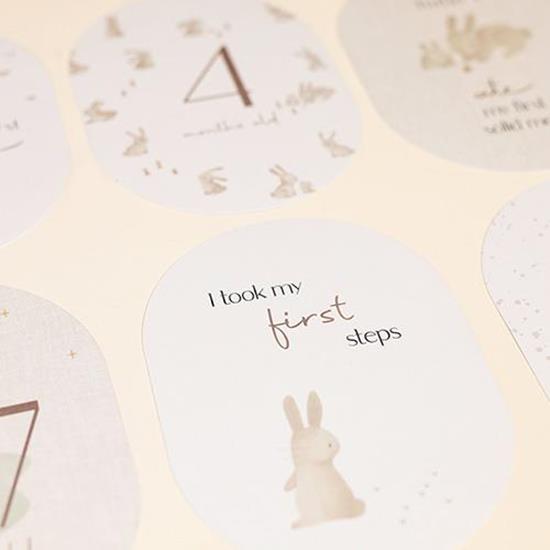 Little Dutch Baby Bunny Milestone Cards