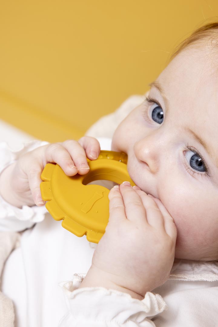 Trixie Cooling Teether - Mr Lion