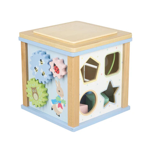 Orange Tree Toys Peter Rabbit Activity Cube