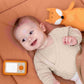 Trixie Small Plush Toy - Mr Fox