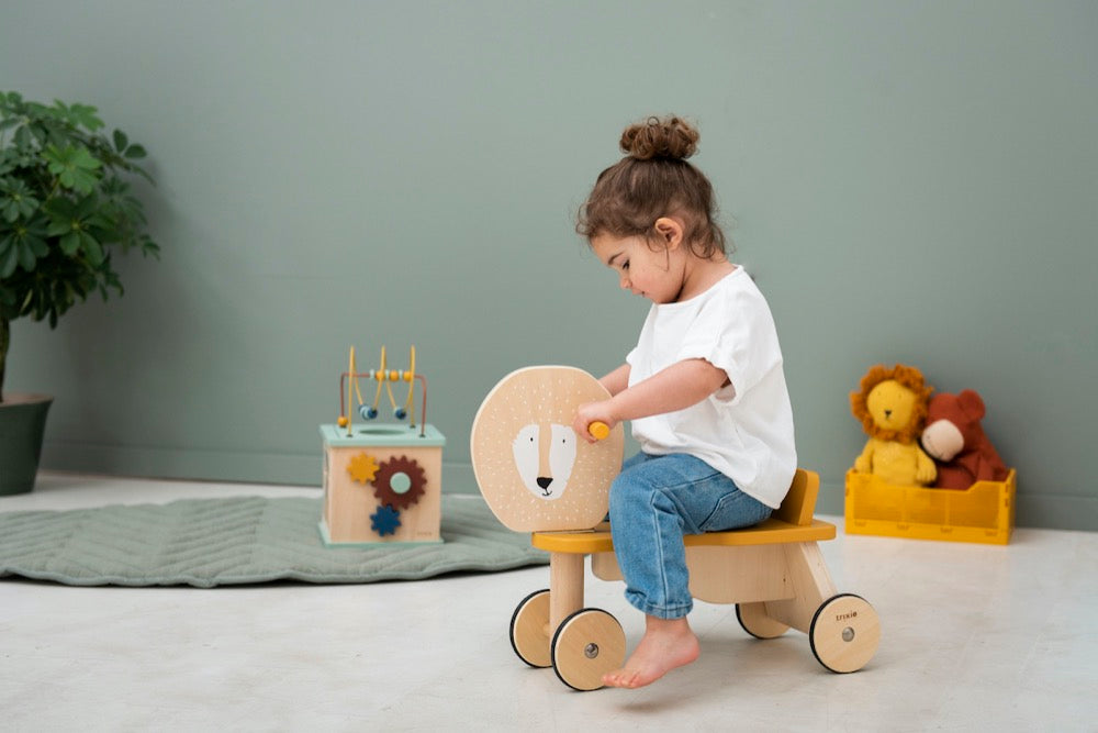 Trixie Wooden Bicycle - Mr Lion