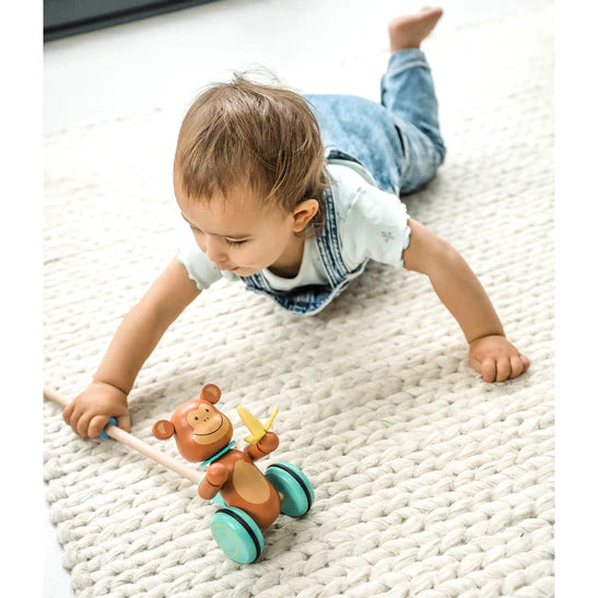 Orange Tree Toys Push Along Monkey