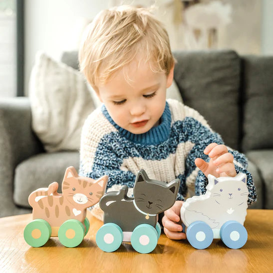 Orange Tree Toys Kitty Push Toys