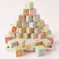 Le Toy Van ABC Learning Blocks