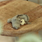 Little Dutch Crocodile Keychain Safari Friends