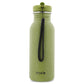 Trixie Bottle - 500ml - Mr Dino