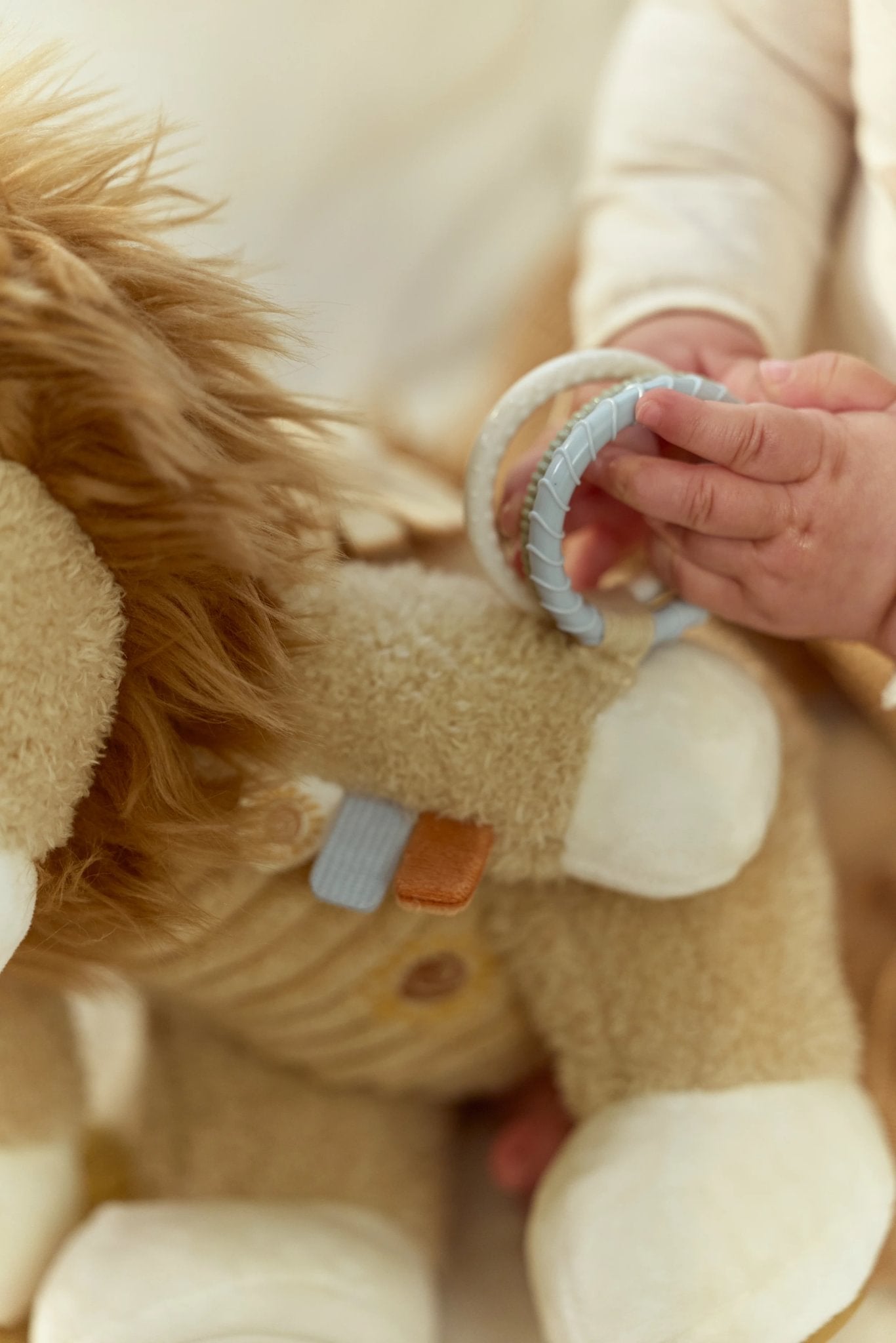 Little Dutch Activity Lion - Safari Friends