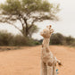 Little Dutch Cuddle Giraffe