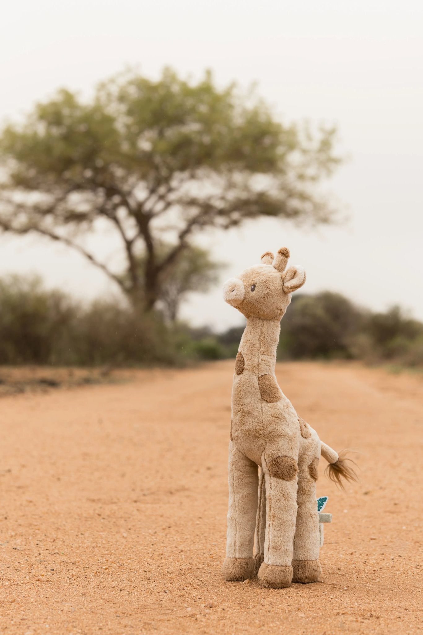Little Dutch Cuddle Giraffe