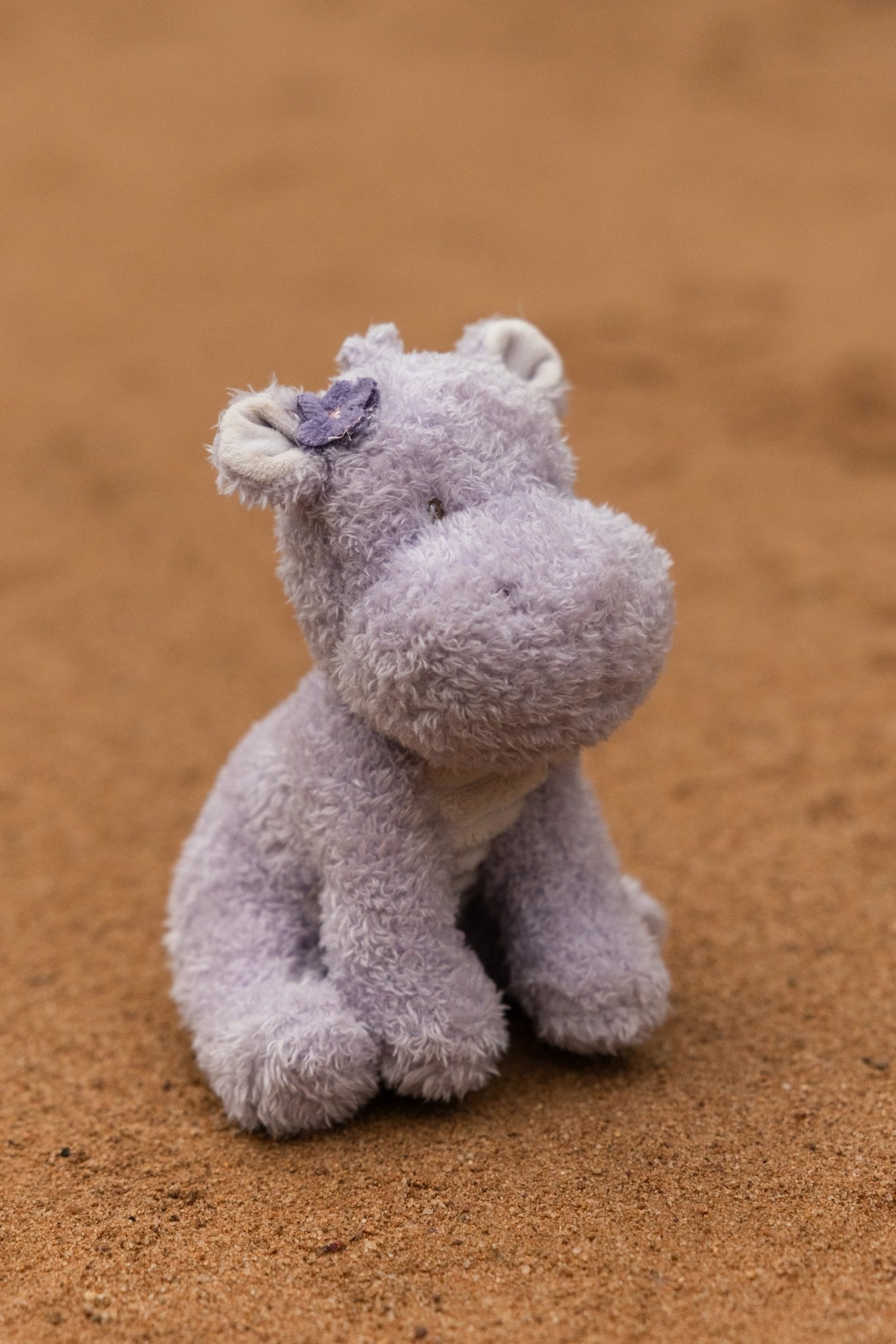 Little Dutch Cuddle Hippo