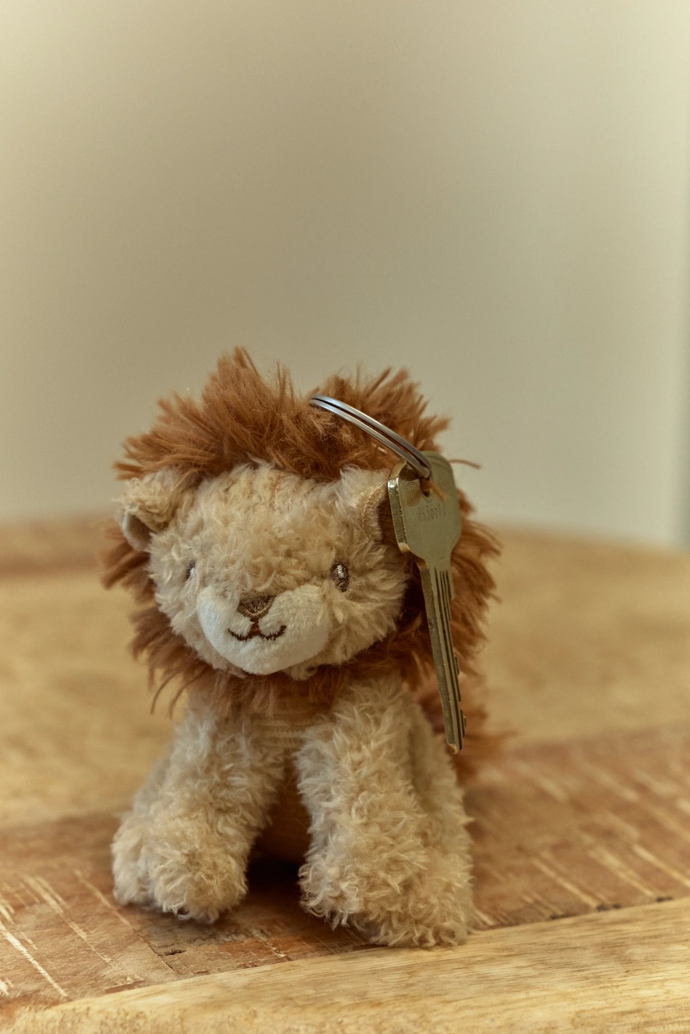 Little Dutch Keychain Lion - Safari Friends